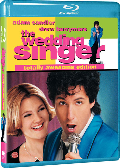 Wedding Singer / მომღერალი ქორწილში